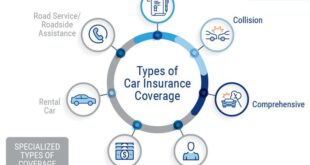 Car Insurance Options